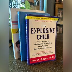 Lot of 3 Parenting Books EUC!